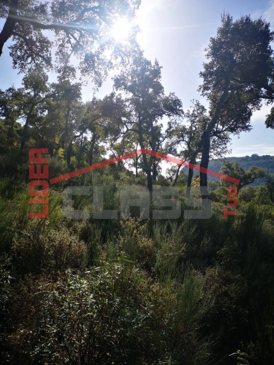 Terreno Agricola ou Rústico para Venda em Castro Vicente Foto 12