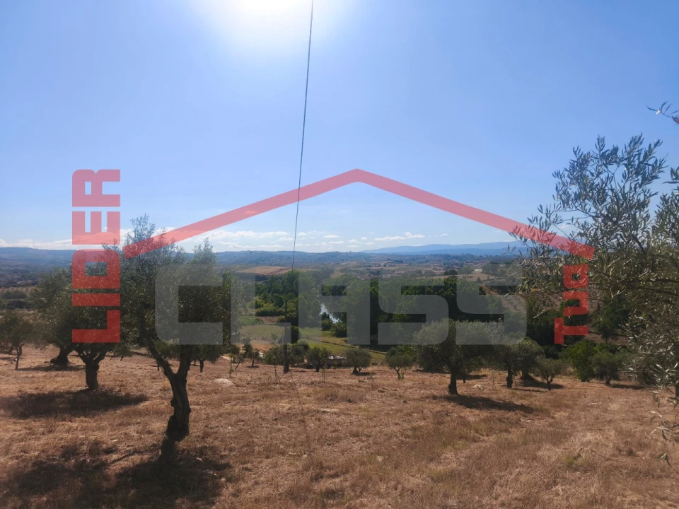 Terreno para Venda em Abambres Foto 2