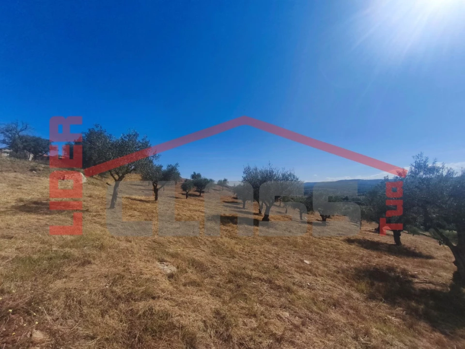Terreno para Venda em Abambres Foto 3