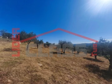 Terreno para Venda em Abambres