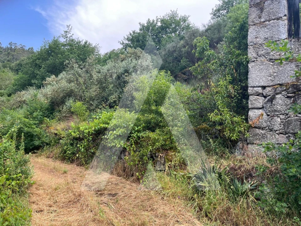 Quinta para Venda em Parada de Gonta Foto 5