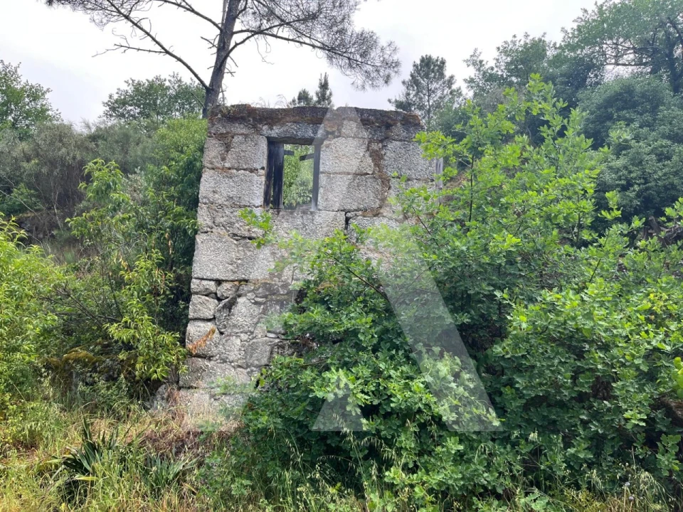 Quinta para Venda em Parada de Gonta Foto 6