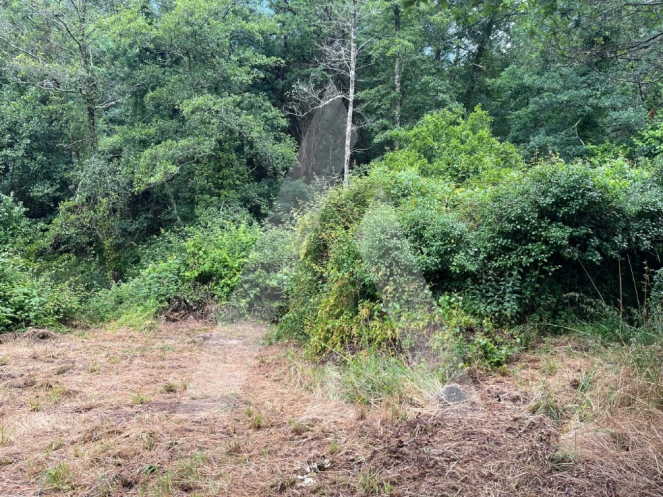 Quinta para Venda em Parada de Gonta Foto 9