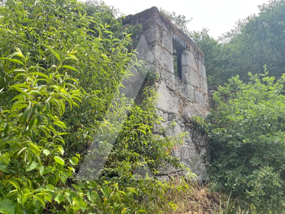 Quinta para Venda em Parada de Gonta Foto 7