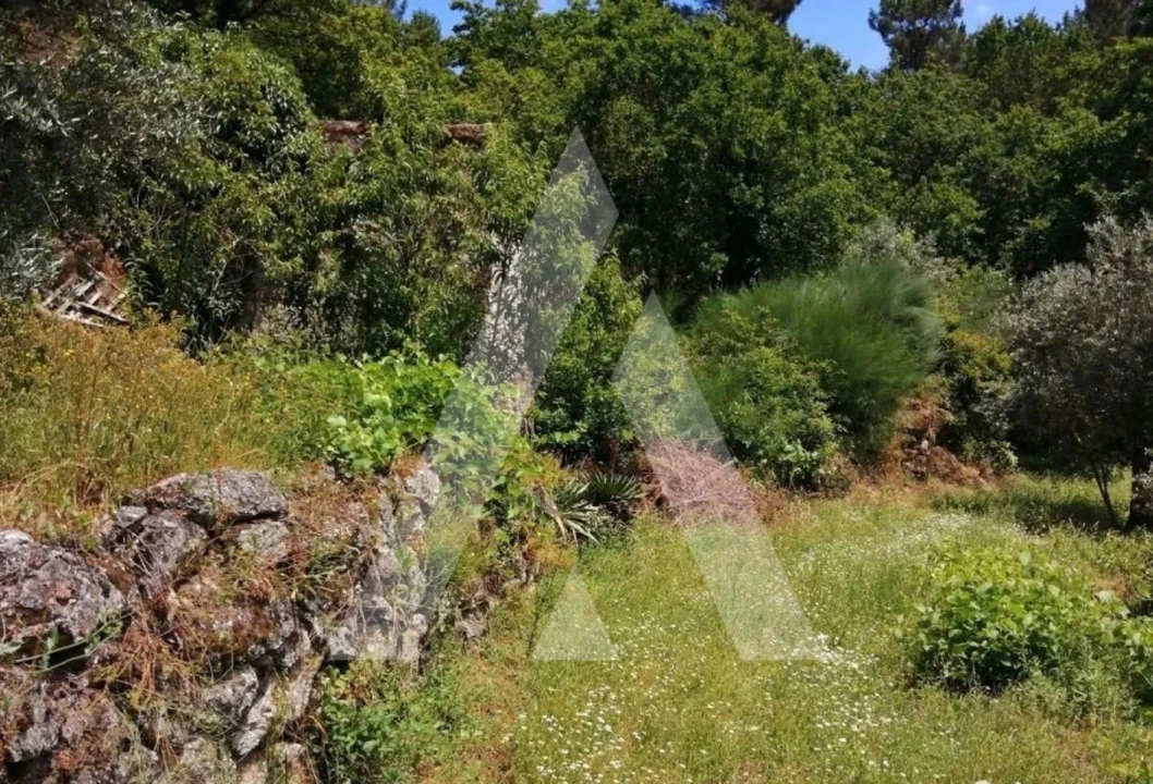 Quinta para Venda em Parada de Gonta Foto 15
