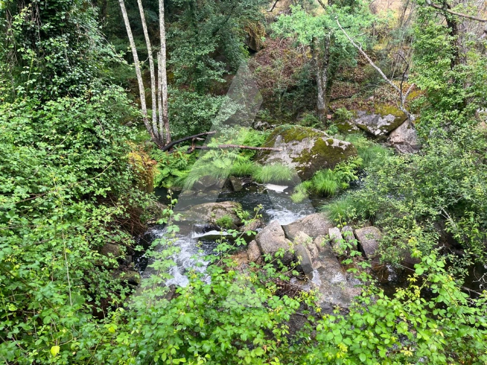 Quinta para Venda em Parada de Gonta Foto 4