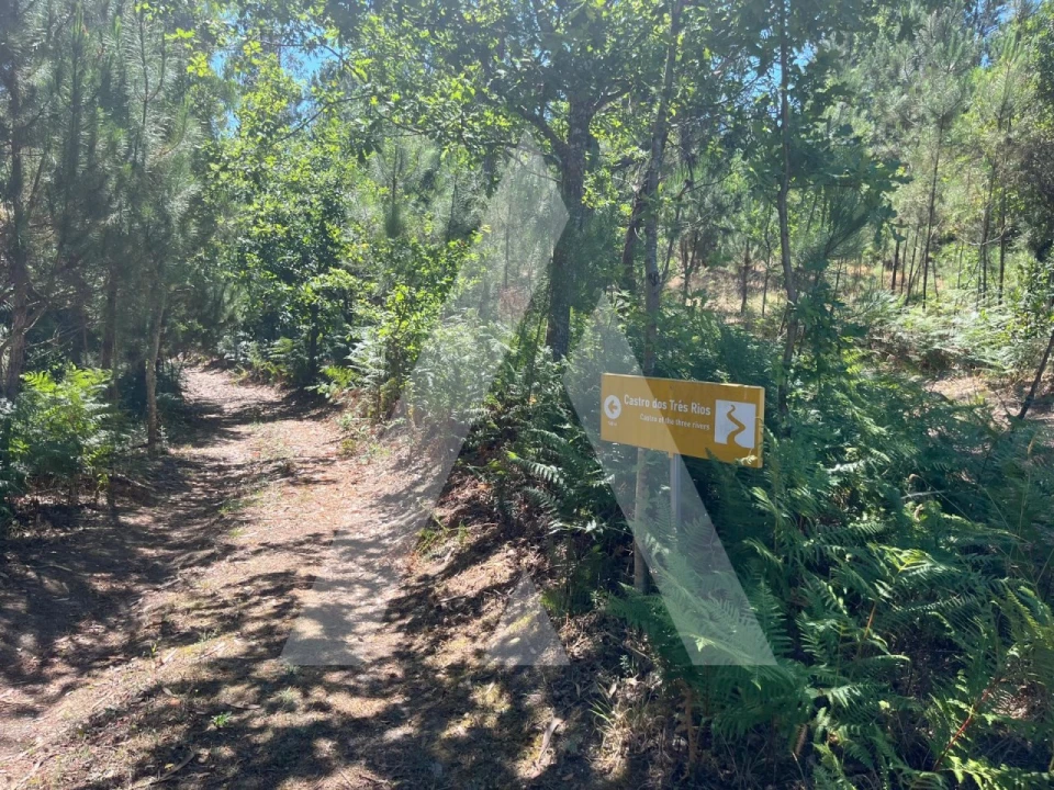 Quinta para Venda em Parada de Gonta Foto 6