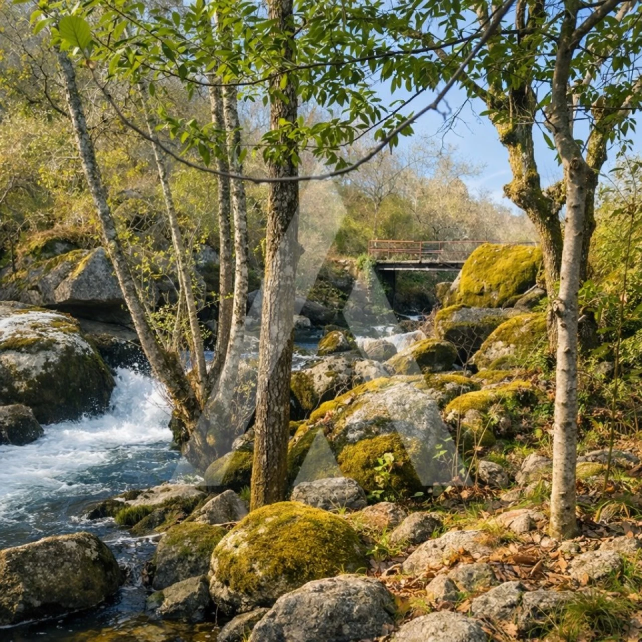Quinta para Venda em Parada de Gonta Foto 4
