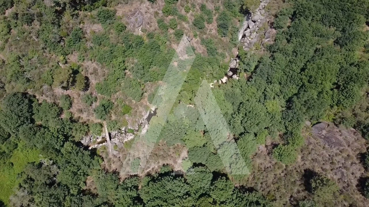 Quinta para Venda em Parada de Gonta Foto 1