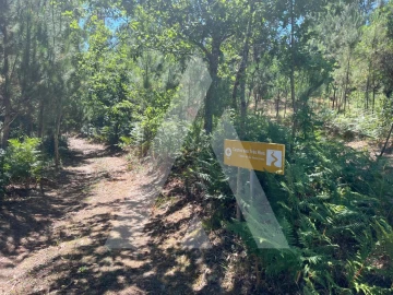 Quinta para Venda em Parada de Gonta