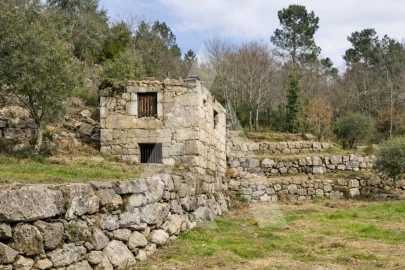Quinta para Venda em Parada de Gonta