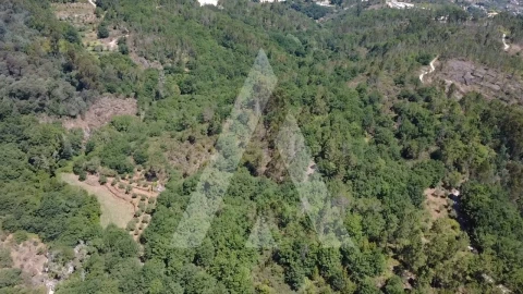 Quinta para Venda em Parada de Gonta