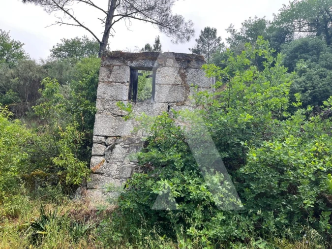 Quinta para Venda em Parada de Gonta Foto 6