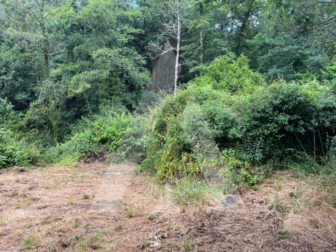 Quinta para Venda em Parada de Gonta Foto 9