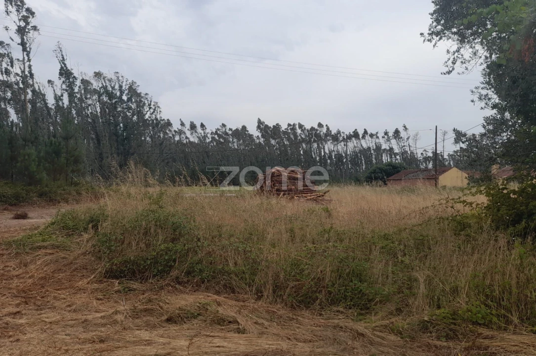 Terreno para Venda em Souto da Carpalhosa e Ortigosa Foto 3