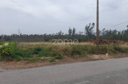 Terreno para Venda em Souto da Carpalhosa e Ortigosa