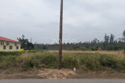 Terreno para Venda em Souto da Carpalhosa e Ortigosa
