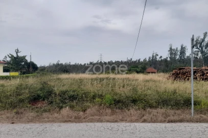 Terreno para Venda em Souto da Carpalhosa e Ortigosa