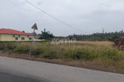 Terreno para Venda em Souto da Carpalhosa e Ortigosa