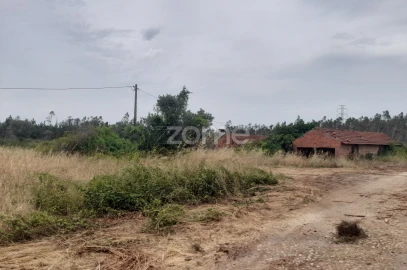 Terreno para Venda em Souto da Carpalhosa e Ortigosa