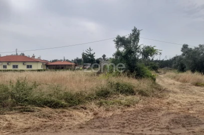 Terreno para Venda em Souto da Carpalhosa e Ortigosa