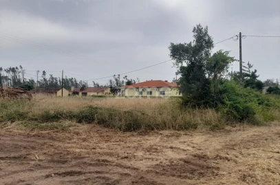 Terreno para Venda em Souto da Carpalhosa e Ortigosa