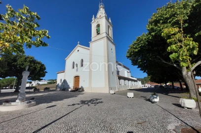 Terreno para Venda em Souto da Carpalhosa e Ortigosa