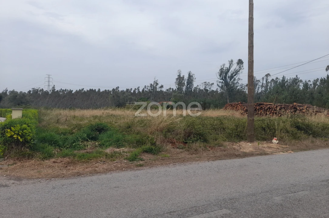 Terreno para Venda em Souto da Carpalhosa e Ortigosa Foto 1