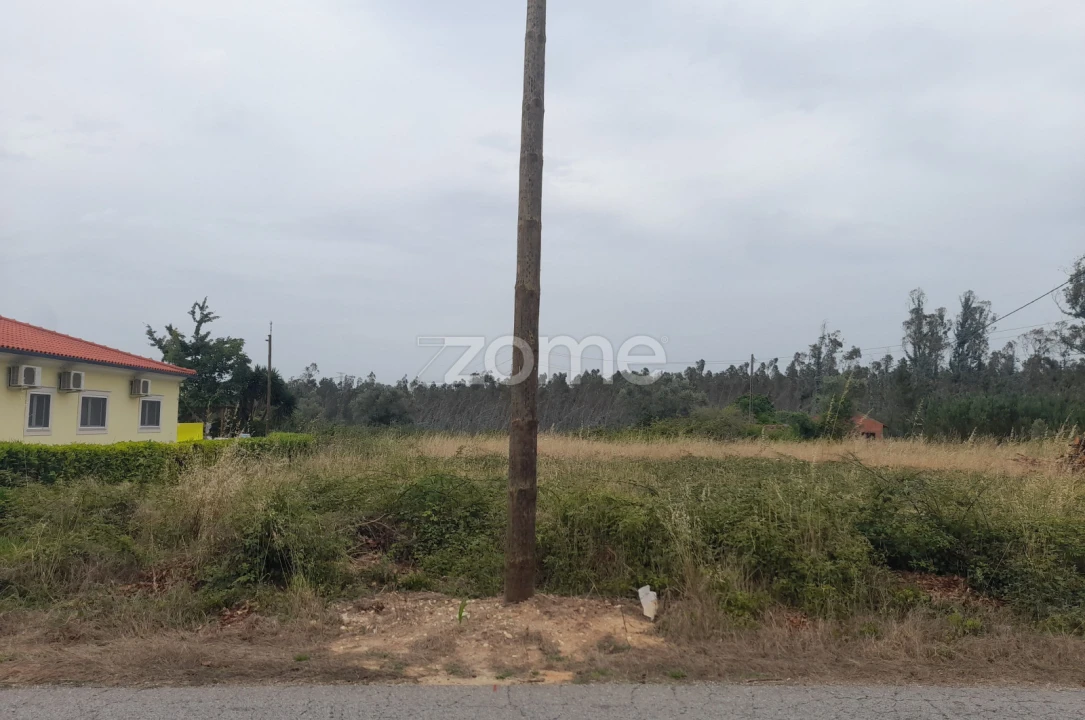 Terreno para Venda em Souto da Carpalhosa e Ortigosa Foto 9