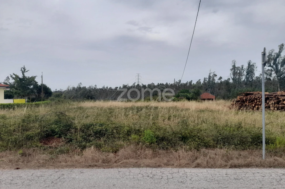 Terreno para Venda em Souto da Carpalhosa e Ortigosa Foto 10