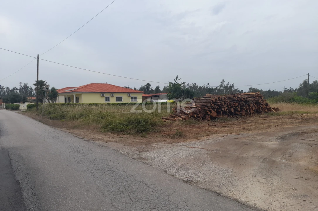 Terreno para Venda em Souto da Carpalhosa e Ortigosa Foto 13