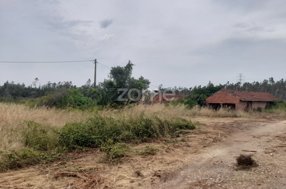 Terreno para Venda em Souto da Carpalhosa e Ortigosa Foto 18