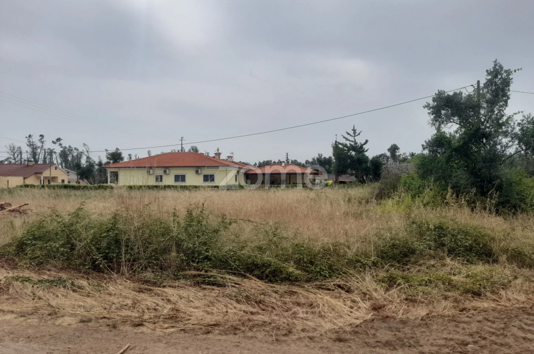 Terreno para Venda em Souto da Carpalhosa e Ortigosa Foto 17