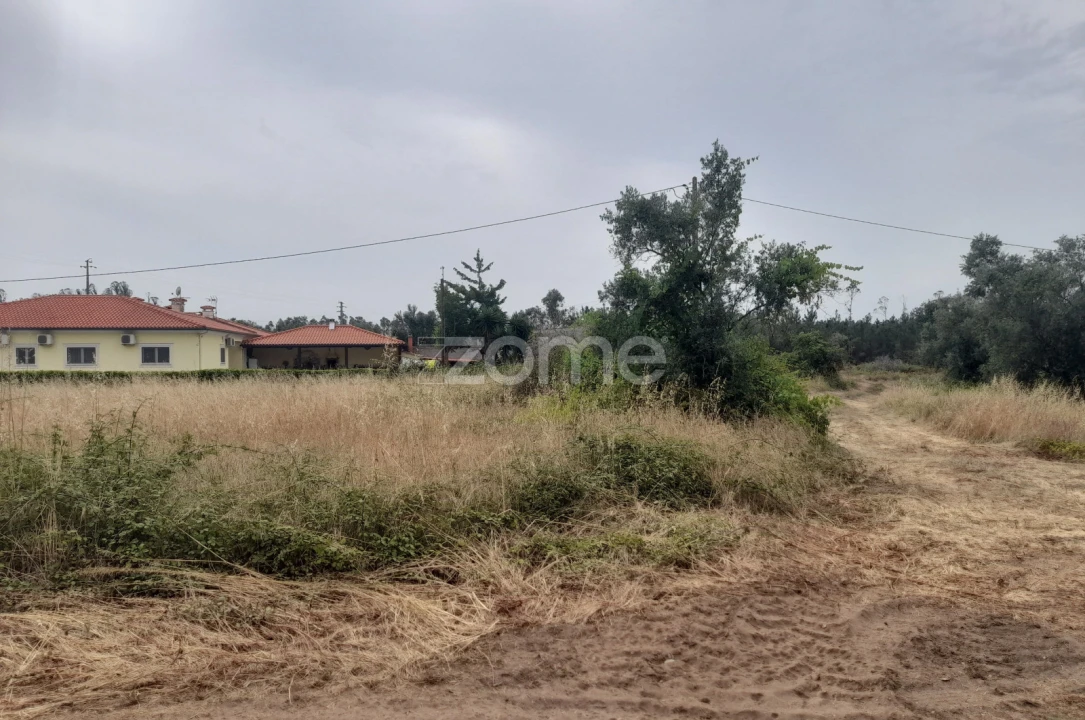 Terreno para Venda em Souto da Carpalhosa e Ortigosa Foto 7