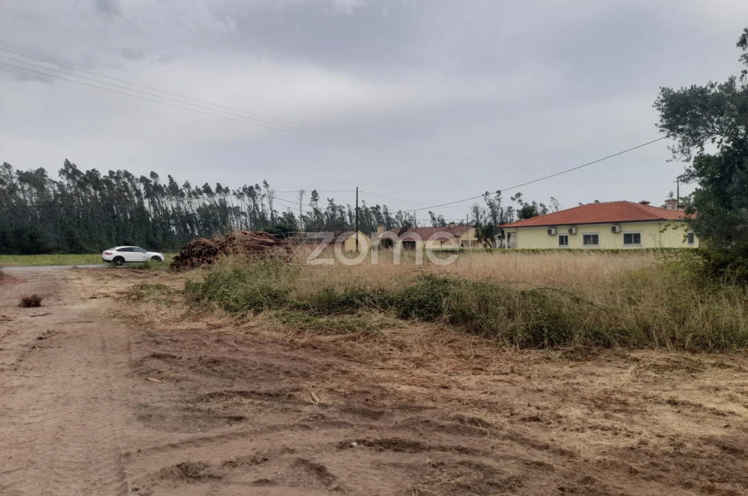 Terreno para Venda em Souto da Carpalhosa e Ortigosa Foto 15