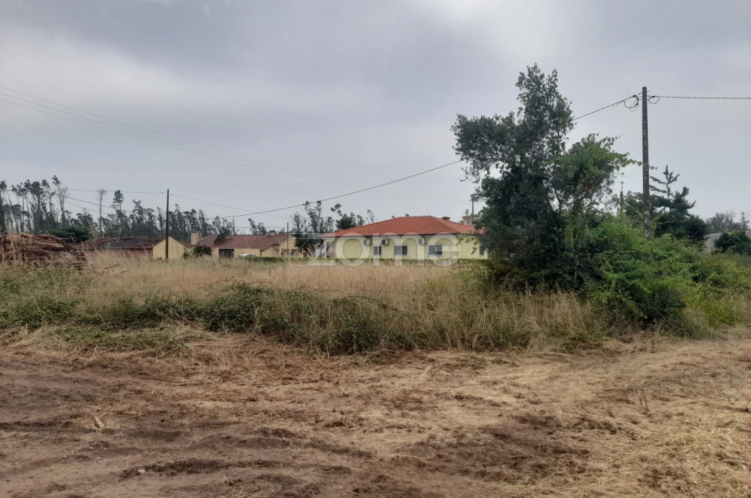 Terreno para Venda em Souto da Carpalhosa e Ortigosa Foto 14