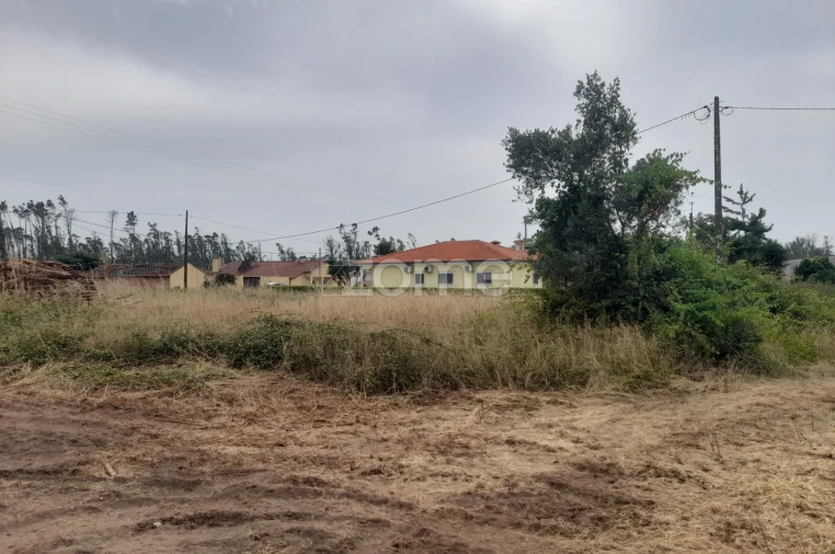 Terreno para Venda em Souto da Carpalhosa e Ortigosa Foto 14