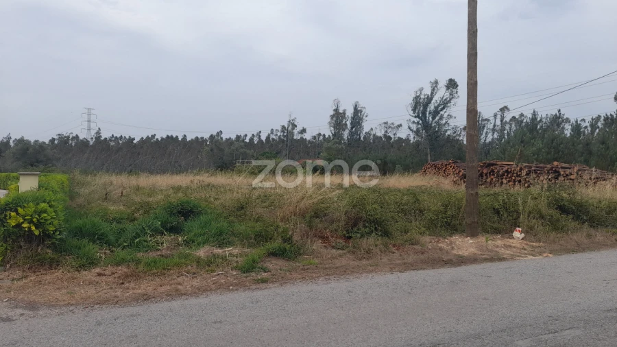 Terreno para Venda em Souto da Carpalhosa e Ortigosa