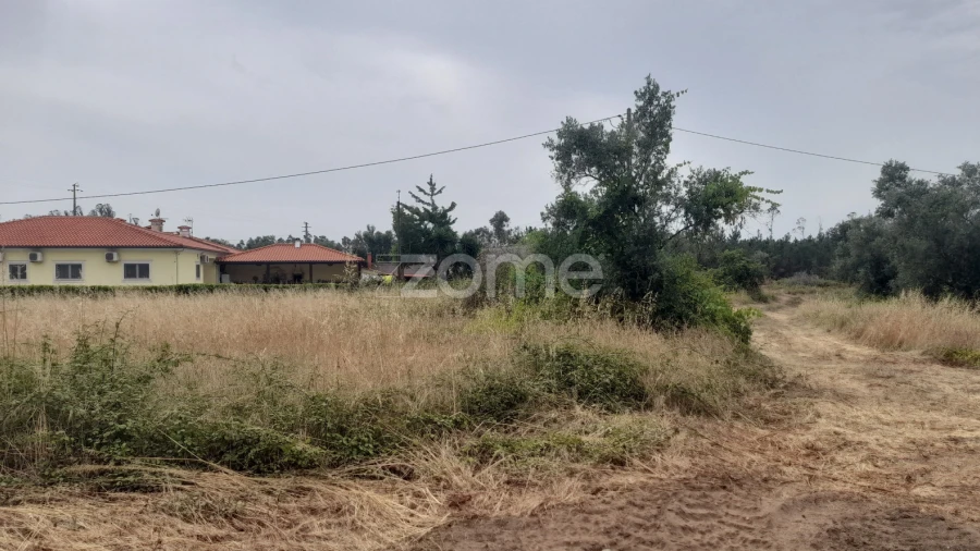 Terreno para Venda em Souto da Carpalhosa e Ortigosa