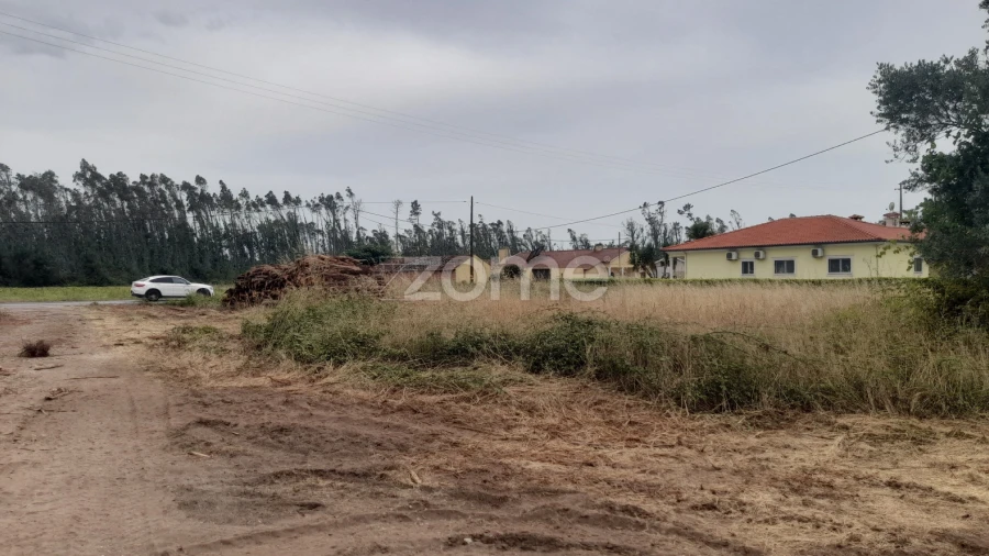 Terreno para Venda em Souto da Carpalhosa e Ortigosa