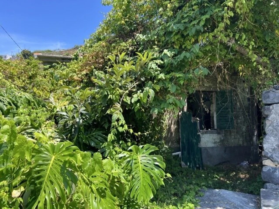 Moradia T2 para Venda em Ribeira Brava Foto 2