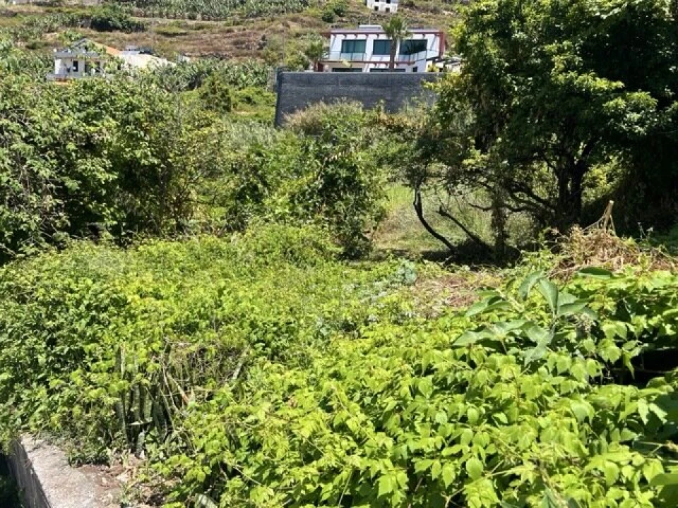 Moradia T2 para Venda em Ribeira Brava Foto 3