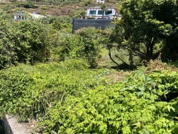 Moradia T2 para Venda em Ribeira Brava