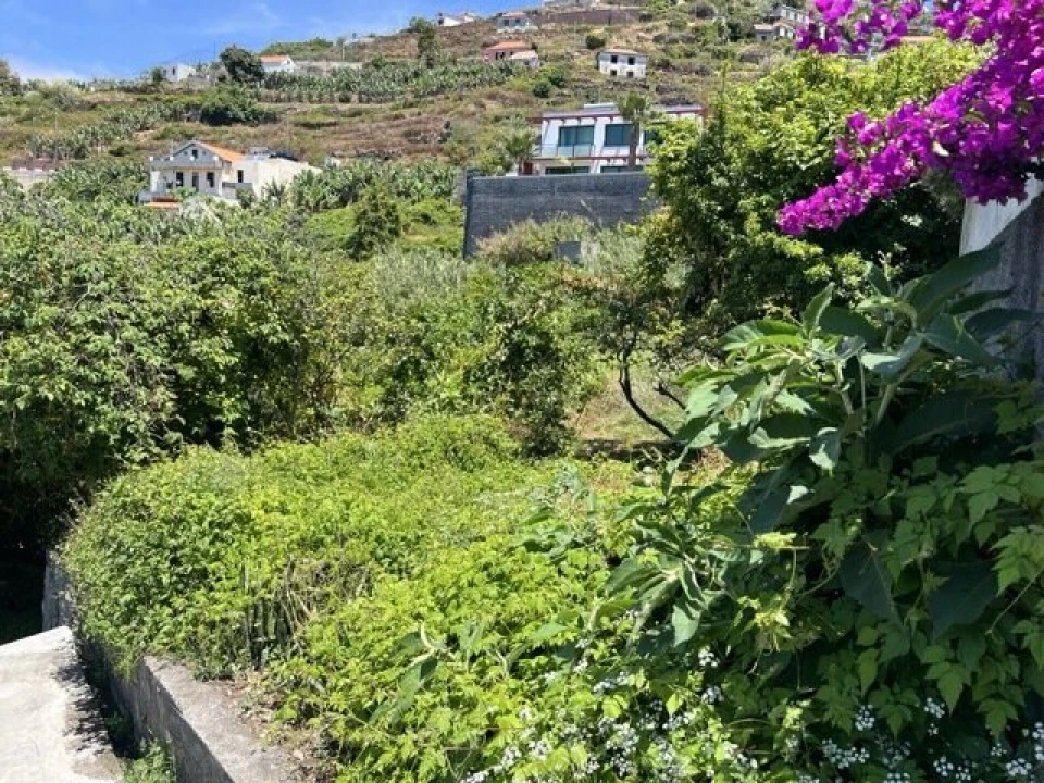 Moradia T2 para Venda em Ribeira Brava Foto 5