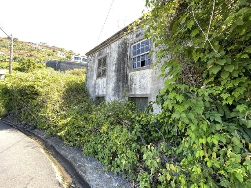 Moradia T2 para Venda em Ribeira Brava Foto 9