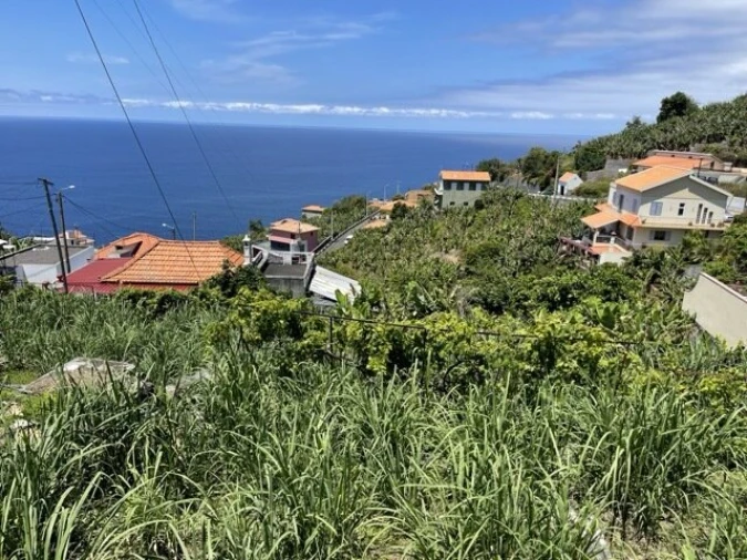 Moradia T2 para Venda em Ribeira Brava Foto 26