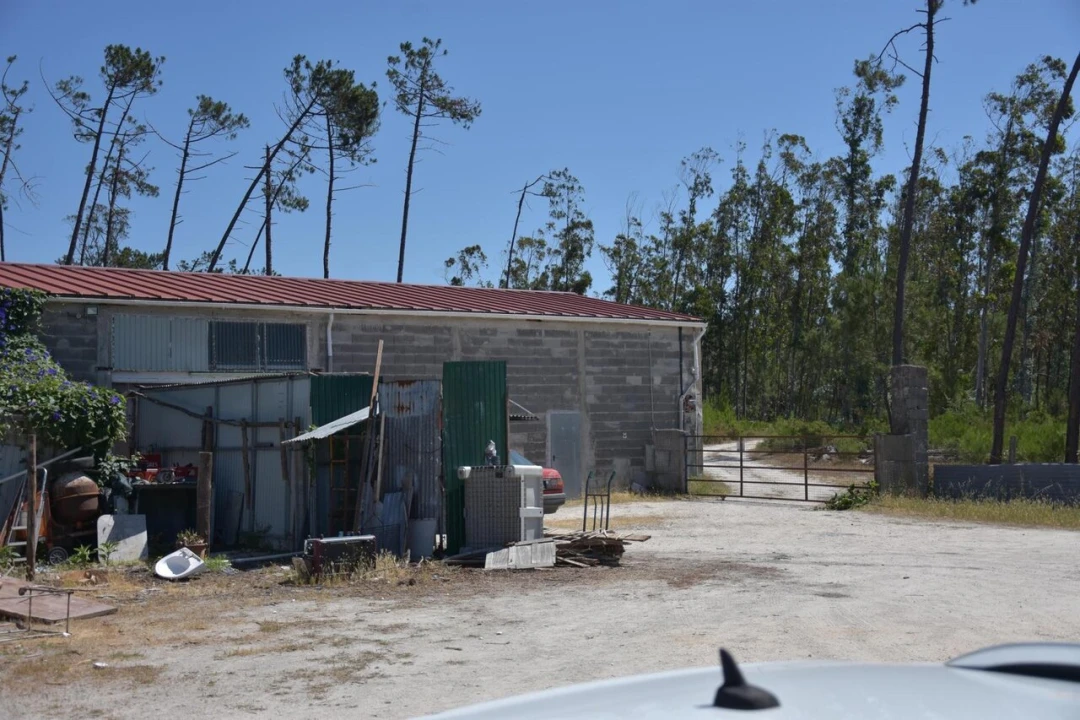 Armazém para Venda em Monte Redondo e Carreira Foto 1