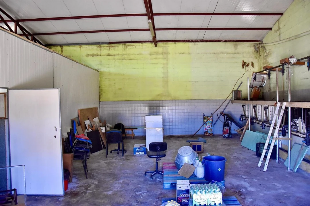 Armazém para Venda em Monte Redondo e Carreira Foto 15