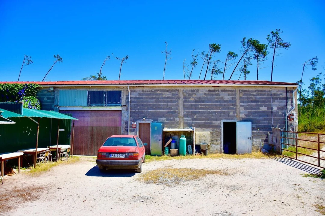 Armazém para Venda em Monte Redondo e Carreira Foto 17