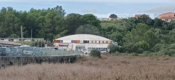Terreno para Venda em Alcabideche